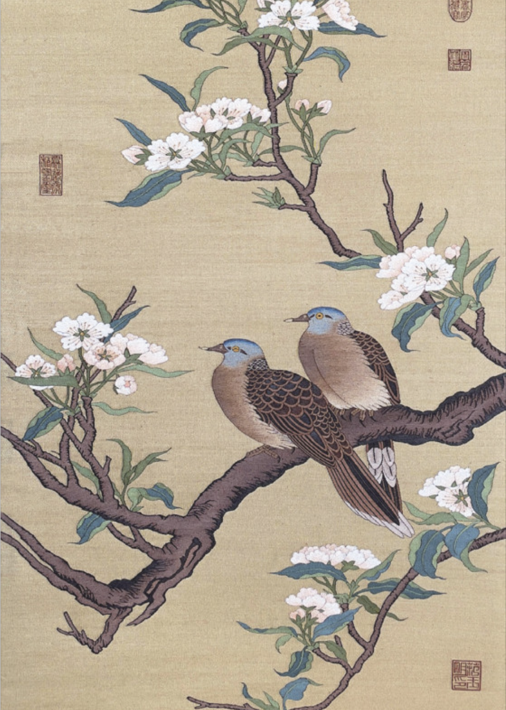 梨花双鸠图轴